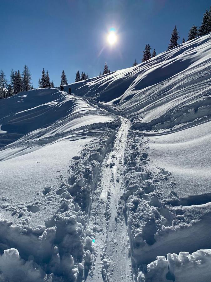 Haus Helga Lägenhet Lienz Exteriör bild