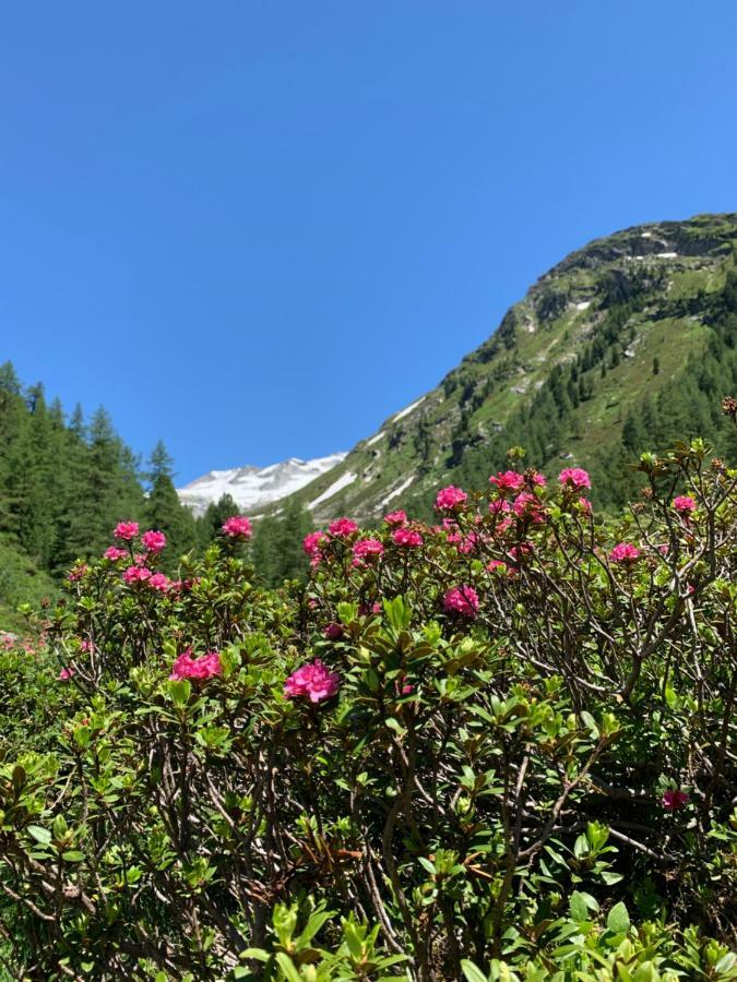 Haus Helga Lägenhet Lienz Exteriör bild
